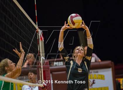 Thumbnail 2 in Brackett vs. Pleasanton (Arabian Round-up) photogallery.