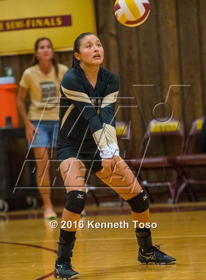 Thumbnail 3 in Brackett vs. Pleasanton (Arabian Round-up) photogallery.