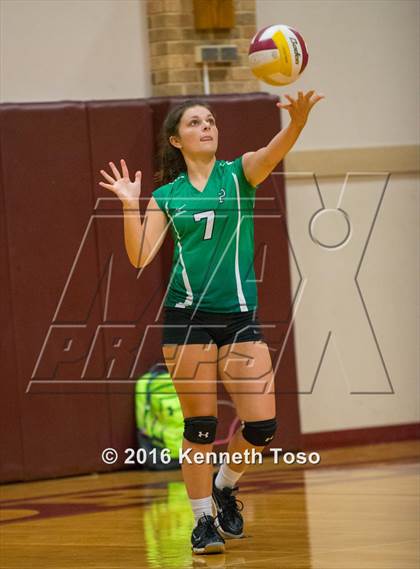 Thumbnail 1 in Brackett vs. Pleasanton (Arabian Round-up) photogallery.