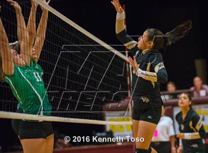 Thumbnail 3 in Brackett vs. Pleasanton (Arabian Round-up) photogallery.
