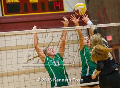 Thumbnail 2 in Brackett vs. Pleasanton (Arabian Round-up) photogallery.