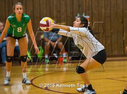 Thumbnail 2 in Brackett vs. Pleasanton (Arabian Round-up) photogallery.