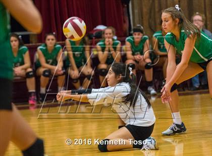 Thumbnail 2 in Brackett vs. Pleasanton (Arabian Round-up) photogallery.