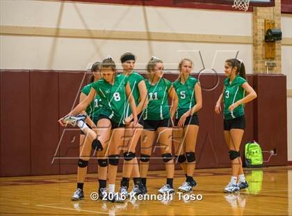 Thumbnail 1 in Brackett vs. Pleasanton (Arabian Round-up) photogallery.