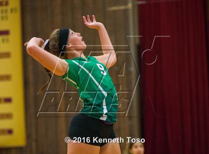 Thumbnail 3 in Brackett vs. Pleasanton (Arabian Round-up) photogallery.