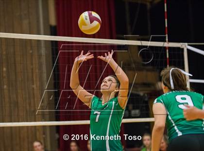 Thumbnail 2 in Brackett vs. Pleasanton (Arabian Round-up) photogallery.