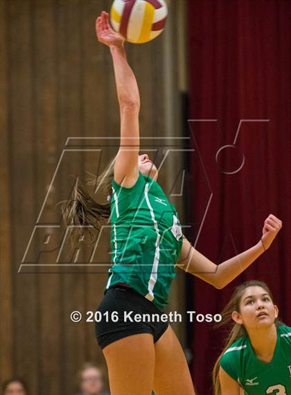 Thumbnail 2 in Brackett vs. Pleasanton (Arabian Round-up) photogallery.