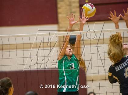 Thumbnail 2 in Brackett vs. Pleasanton (Arabian Round-up) photogallery.