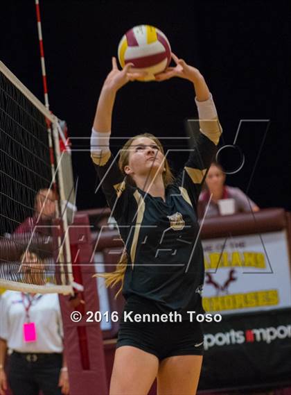 Thumbnail 3 in Brackett vs. Pleasanton (Arabian Round-up) photogallery.