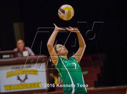 Thumbnail 2 in Brackett vs. Pleasanton (Arabian Round-up) photogallery.