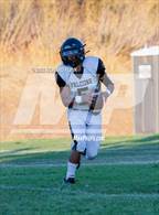 Photo from the gallery "Millennium @ Rio Vista"