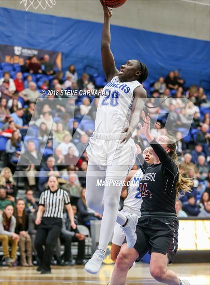 Thumbnail 1 in Northridge vs. Bingham (UHSAA 6A Quarter Final) photogallery.