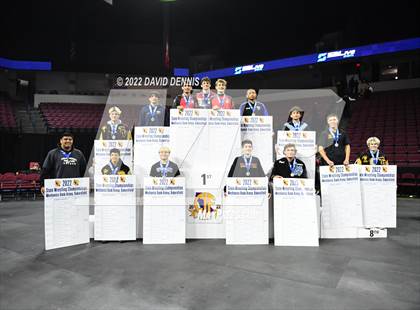 Thumbnail 1 in CIF State Boys Wrestling Championships (Podium Awards) photogallery.