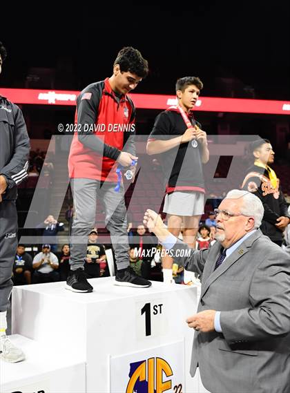 Thumbnail 1 in CIF State Boys Wrestling Championships (Podium Awards) photogallery.