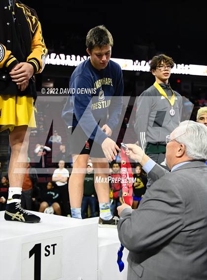 Thumbnail 2 in CIF State Boys Wrestling Championships (Podium Awards) photogallery.