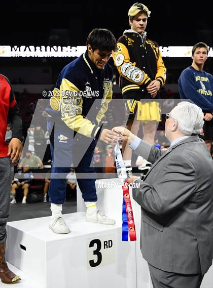 Thumbnail 3 in CIF State Boys Wrestling Championships (Podium Awards) photogallery.