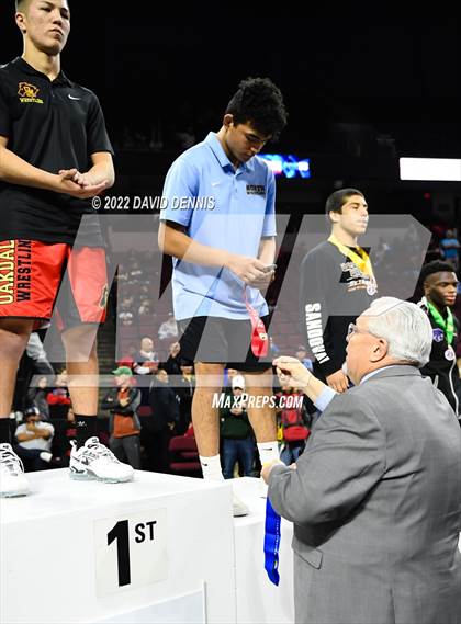 Thumbnail 2 in CIF State Boys Wrestling Championships (Podium Awards) photogallery.