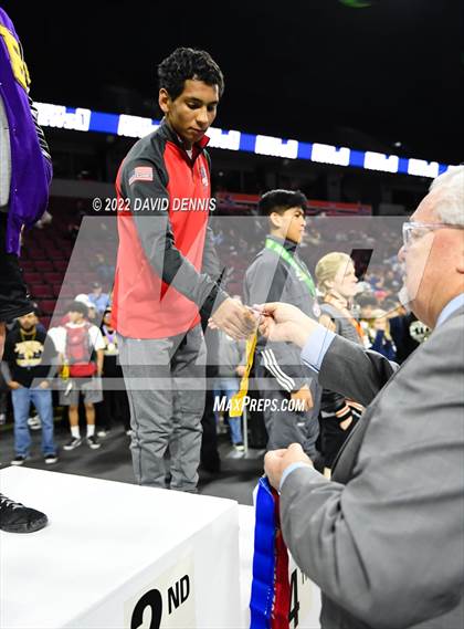 Thumbnail 1 in CIF State Boys Wrestling Championships (Podium Awards) photogallery.