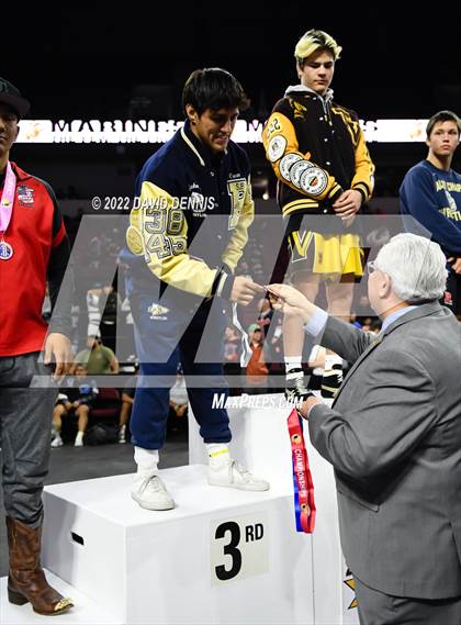 Thumbnail 1 in CIF State Boys Wrestling Championships (Podium Awards) photogallery.