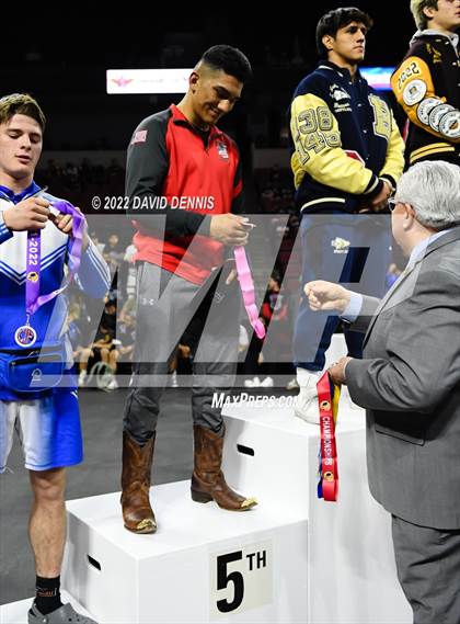Thumbnail 3 in CIF State Boys Wrestling Championships (Podium Awards) photogallery.