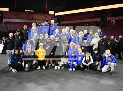 Thumbnail 2 in CIF State Boys Wrestling Championships (Podium Awards) photogallery.