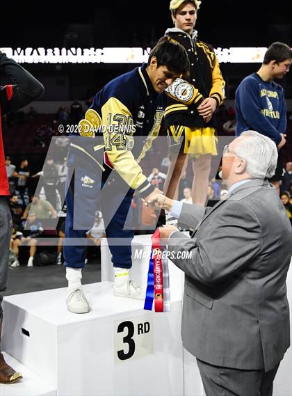 Thumbnail 2 in CIF State Boys Wrestling Championships (Podium Awards) photogallery.
