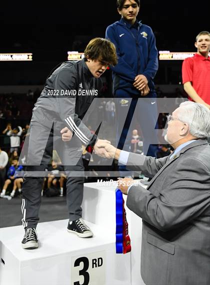 Thumbnail 3 in CIF State Boys Wrestling Championships (Podium Awards) photogallery.