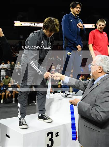 Thumbnail 1 in CIF State Boys Wrestling Championships (Podium Awards) photogallery.