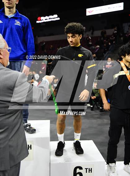 Thumbnail 2 in CIF State Boys Wrestling Championships (Podium Awards) photogallery.
