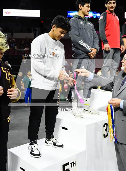 Thumbnail 1 in CIF State Boys Wrestling Championships (Podium Awards) photogallery.