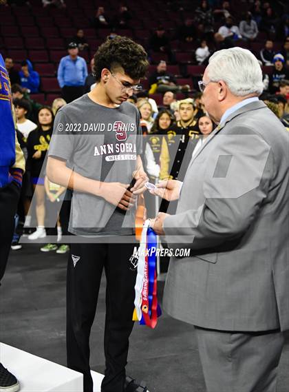 Thumbnail 3 in CIF State Boys Wrestling Championships (Podium Awards) photogallery.