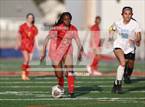 Photo from the gallery "Indian River @ Bayside"