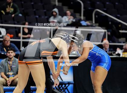 Thumbnail 3 in NYSPHSAA State Championships (wrestle backs to 3rd place) photogallery.