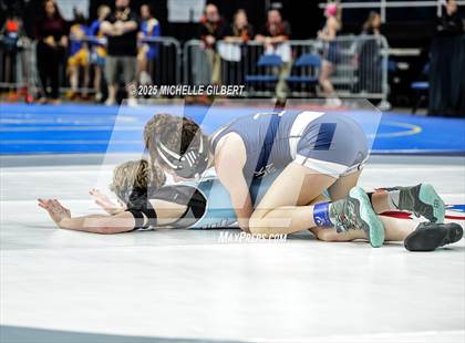 Thumbnail 2 in NYSPHSAA State Championships (wrestle backs to 3rd place) photogallery.