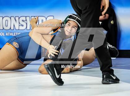 Thumbnail 3 in NYSPHSAA State Championships (wrestle backs to 3rd place) photogallery.