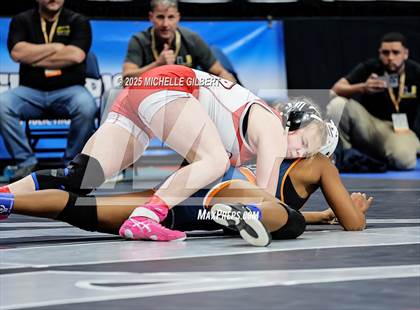 Thumbnail 1 in NYSPHSAA State Championships (wrestle backs to 3rd place) photogallery.