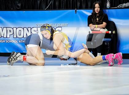 Thumbnail 2 in NYSPHSAA State Championships (wrestle backs to 3rd place) photogallery.