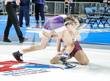 Thumbnail 3 in NYSPHSAA State Championships (wrestle backs to 3rd place) photogallery.