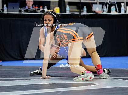 Thumbnail 3 in NYSPHSAA State Championships (wrestle backs to 3rd place) photogallery.