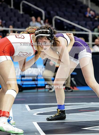 Thumbnail 2 in NYSPHSAA State Championships (wrestle backs to 3rd place) photogallery.
