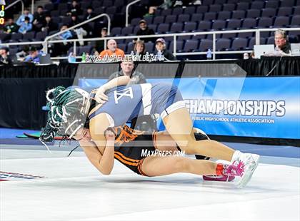 Thumbnail 1 in NYSPHSAA State Championships (wrestle backs to 3rd place) photogallery.