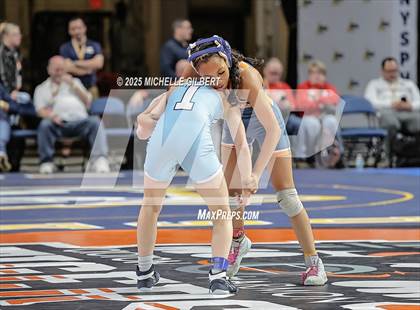 Thumbnail 1 in NYSPHSAA State Championships (wrestle backs to 3rd place) photogallery.
