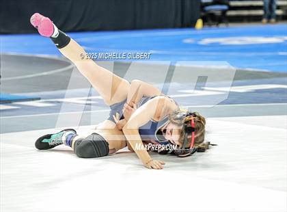 Thumbnail 2 in NYSPHSAA State Championships (wrestle backs to 3rd place) photogallery.