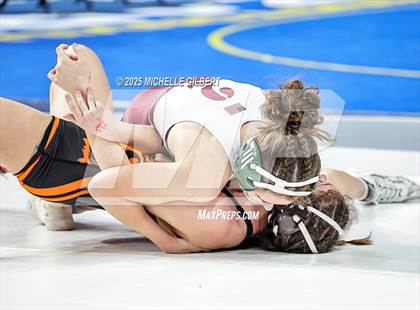 Thumbnail 2 in NYSPHSAA State Championships (wrestle backs to 3rd place) photogallery.