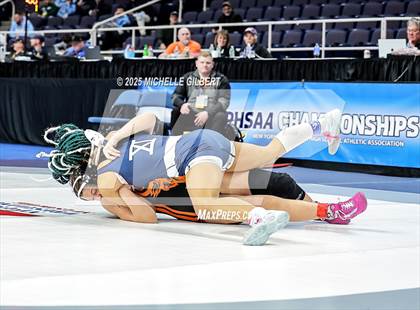 Thumbnail 2 in NYSPHSAA State Championships (wrestle backs to 3rd place) photogallery.
