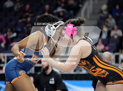 Thumbnail 1 in NYSPHSAA State Championships (wrestle backs to 3rd place) photogallery.