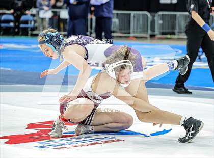 Thumbnail 2 in NYSPHSAA State Championships (wrestle backs to 3rd place) photogallery.