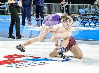 Thumbnail 1 in NYSPHSAA State Championships (wrestle backs to 3rd place) photogallery.