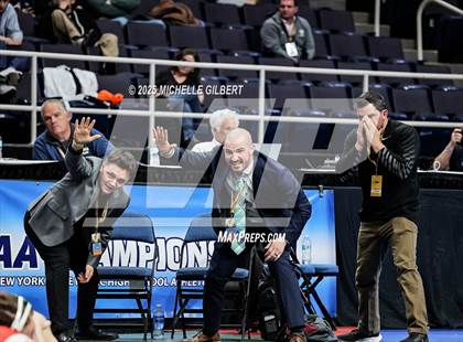 Thumbnail 3 in NYSPHSAA State Championships (wrestle backs to 3rd place) photogallery.