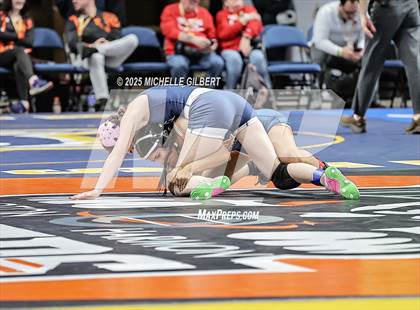 Thumbnail 3 in NYSPHSAA State Championships (wrestle backs to 3rd place) photogallery.